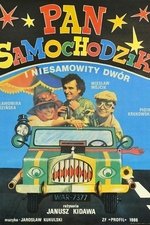 Pan Samochodzik i niesamowity dwór