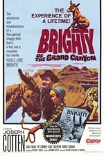 Brighty of the Grand Canyon