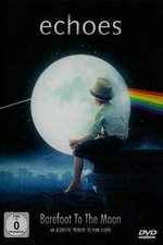 Echoes Barefoot To The Moon  - An Acoustic Tribute To Pink Floyd