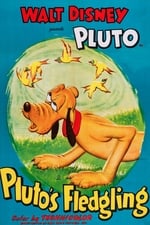 Pluto's Fledgling