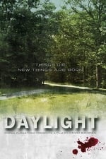 Daylight