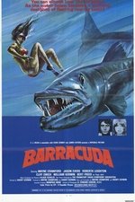 Barracuda