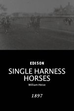 Single harness horses