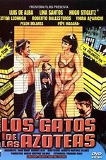 Los gatos de las azoteas