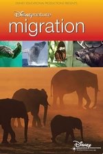 Disneynature Migration