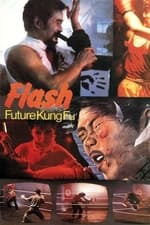 Flash Future Kung Fu