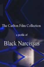 A Profile of Black Narcissus