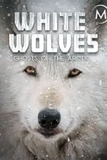 White Wolves: Ghosts of the Arctic