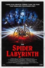 The Spider Labyrinth