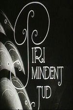 Piri mindent tud