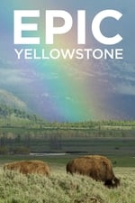 Epic Yellowstone