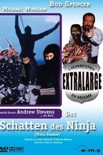 Extralarge: Ninja Shadow