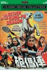 Return of the Kung Fu Dragon