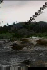 Hell Roaring Creek
