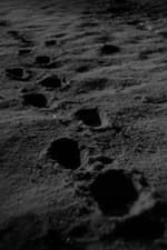 Footprints