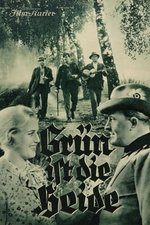 Grün ist die Heide