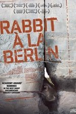 Rabbit à la Berlin