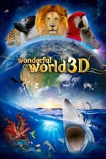 Wonderful World 3D