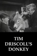 Tim Driscoll's Donkey