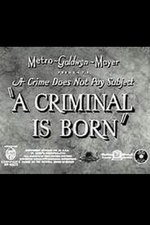 A Criminal Is Born