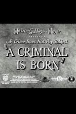 A Criminal Is Born