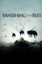 Vanishing of the Bees