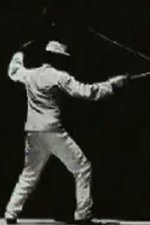Two Fencers