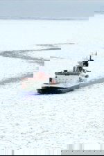Licence to Krill