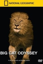 Big Cat Odyssey