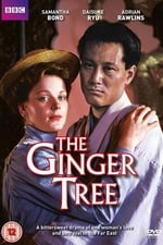 The Ginger Tree