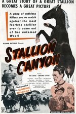 Stallion Canyon