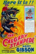 The Calgary Stampede