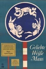 Geliebte weiße Maus