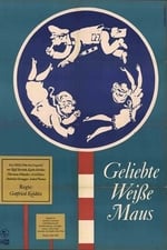 Geliebte weiße Maus