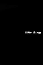 Little Things