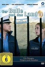 Der Bulle und das Landei - von Mäusen, Miezen und Moneten