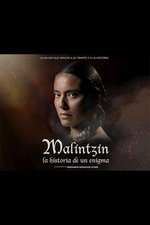 Malintzin, la historia de un enigma.