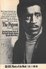 The Pigeon