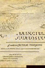 Principles of Curiosity