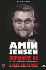 Amin Jensen: Stort II