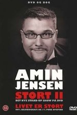 Amin Jensen: Stort II