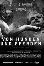 Von Hunden und Pferden