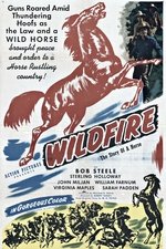 Wildfire