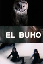 El búho