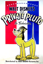 Private Pluto