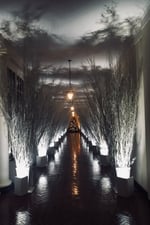 2017 Holiday Decorations at the White House