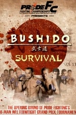 Pride Bushido 11