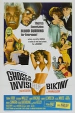 The Ghost in the Invisible Bikini