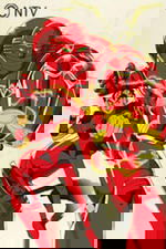 Red Baron