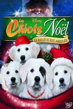 Les Chiots Noël, la relève est arrivée